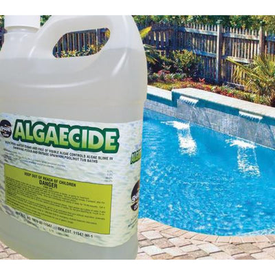 Algaecide Concentrated [Swimming Pool Algaecide]