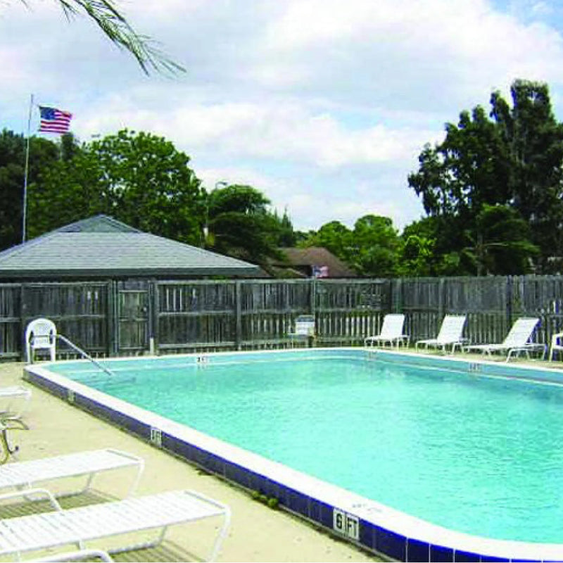 AQUA PURE [Swimming Pool Grease & Slime Digestant]