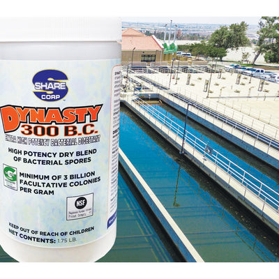 DYNASTY 300 B.C. [Extra High Potency Bacterial Digestant]