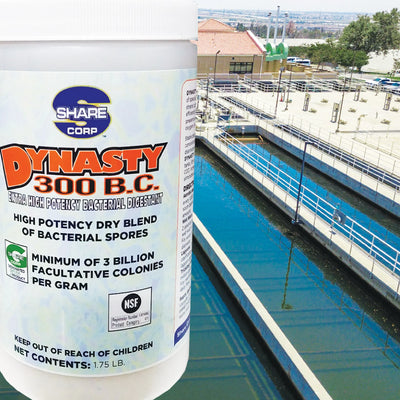 DYNASTY 300 B.C. [Extra High Potency Bacterial Digestant]