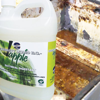 Dynasty Liquid BC Apple [Bacterial Digestant]