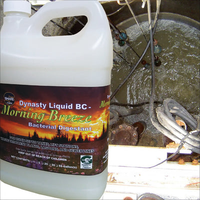 Dynasty Liquid BC Morning Breeze [Bacterial Digestant]