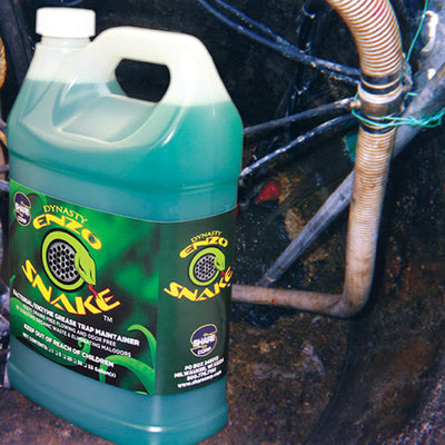 DYNASTY ENZO-SNAKE [Bacteria/Enzyme Grease Trap Maintainer]