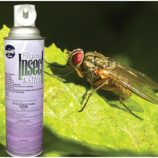 Flying Insect Killer