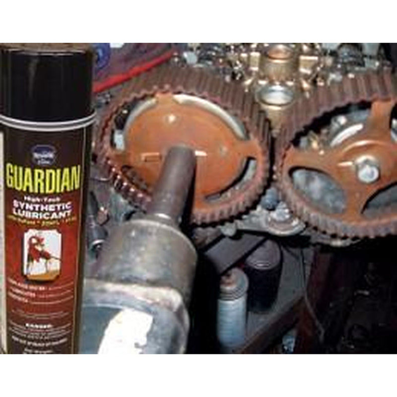 Guardian Lo Res