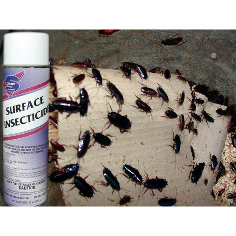 Surface Insecticide