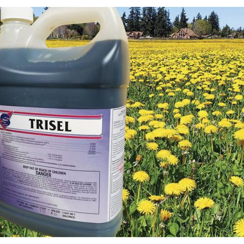 TRISEL