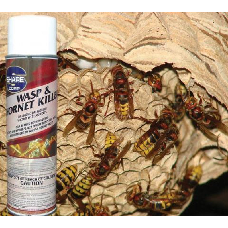 Wasp and Hornet Killer